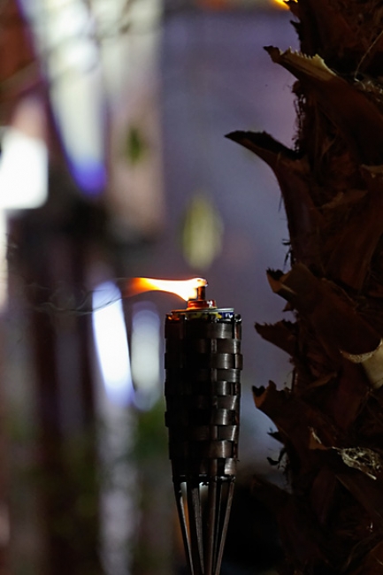Lopburi King Narai fair-196